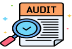 IRS Audit Support